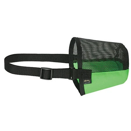 GOAT SHEEP MUZZLE GREEN