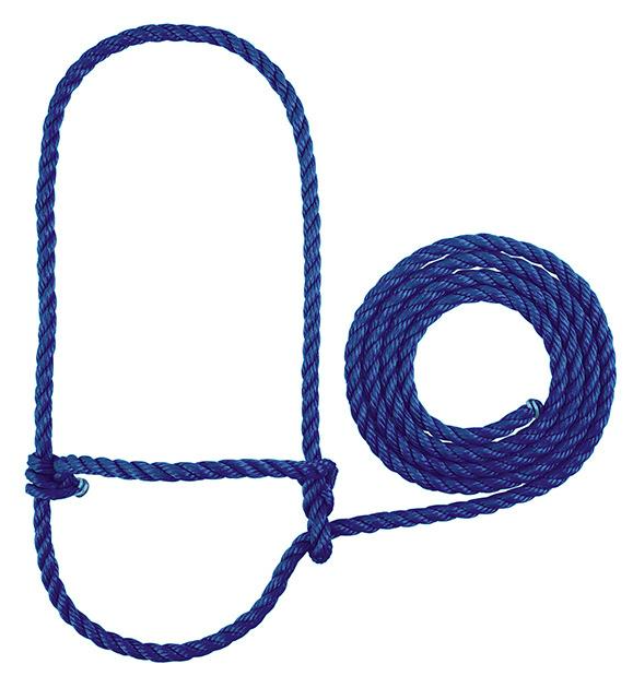 CALF HALTER,POLY BLUE