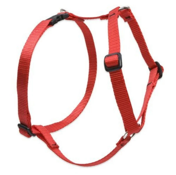 3/4 In. Red Roman Dog Harness, Adjustable 14 In. - 24 In. Size