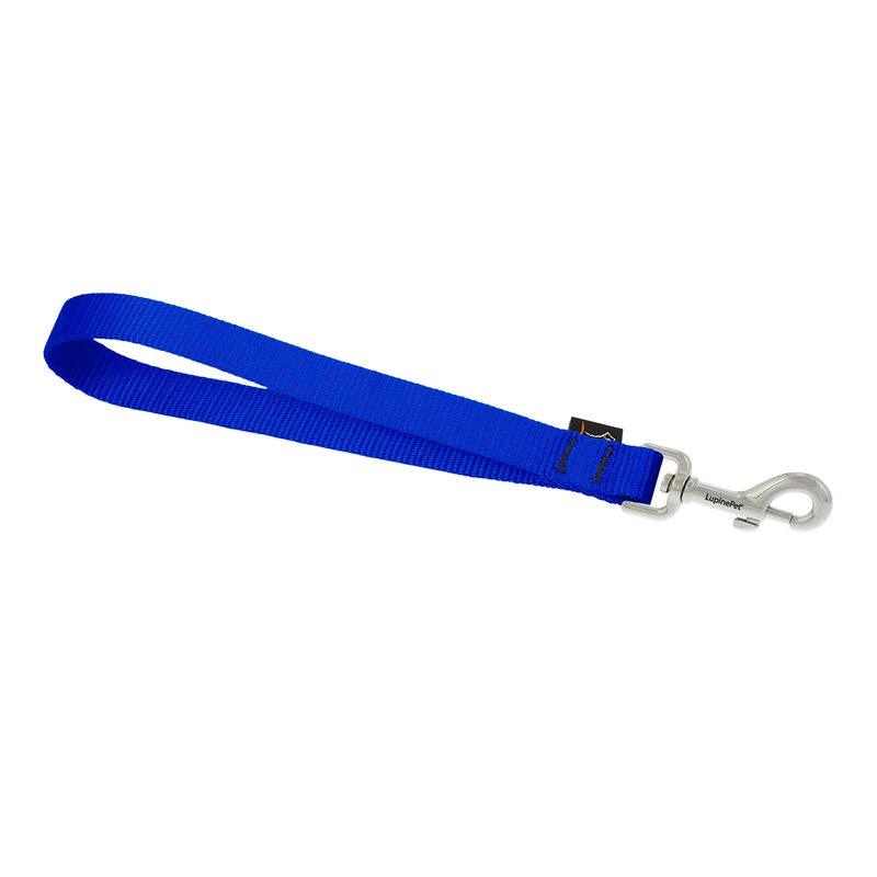 Pet Basic Solids Blue Nylon Dog Training Leash, 0.75 Inch Wide, Model 17577