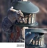 Squirrel Diner Feeder Model 75590 - Medium Size Green