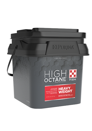 Animal Nutrition High Octane Heavy Weight Topdress, 20 Pounds For Show Animals