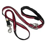 Quantum Reflective 6-in-1 Dog Leash, 6' Length, Barn Red