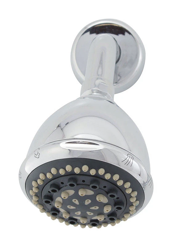 Rainbo Massage Chrome Plastic 7-spray Showerhead 2.5 Gpm Fp74c