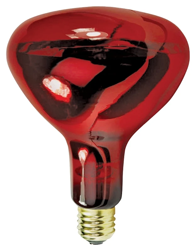 250-watt Dimmable Red Br40 Incandescent Heat Lamp Light Bulb