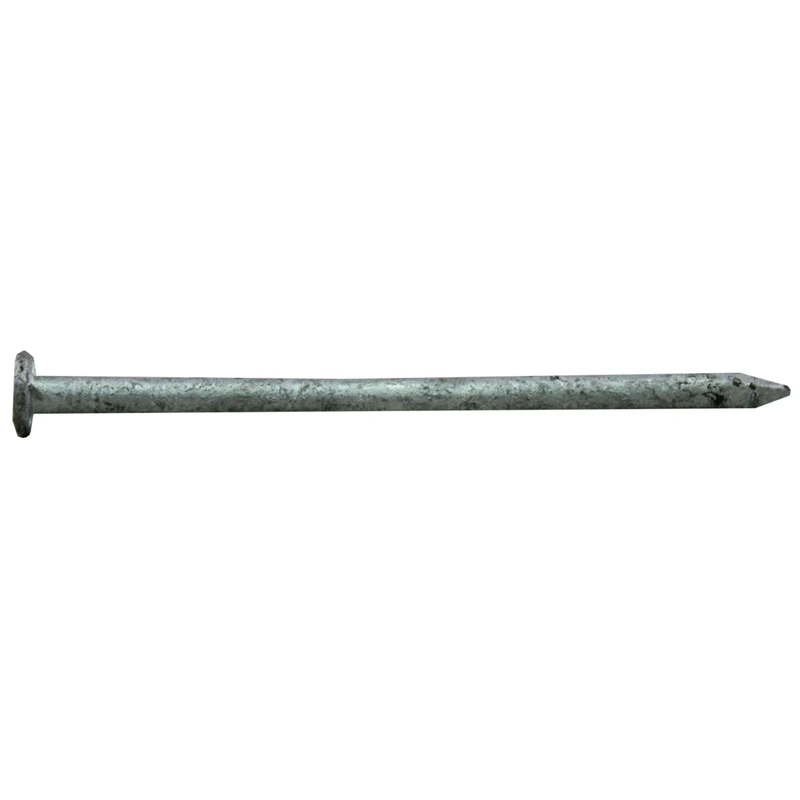 16d 3-1/2 In. Hot-dipped Galvanized Steel Common Nails - 25 Lb Pail