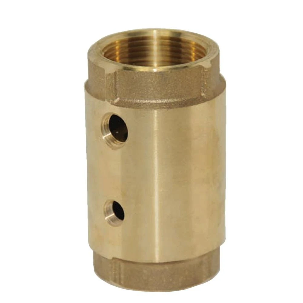 Control Center Check Valve, Brass, 1-In.