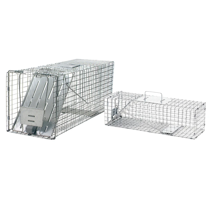 Live Catch Animal Trap For Raccoons, 2 Pk, Model 1079pr, Durable Design