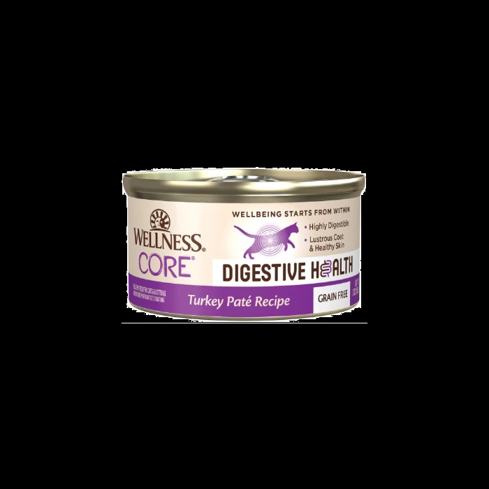 WELLNESS CORE CAT DIGEST TKY 3OZ
