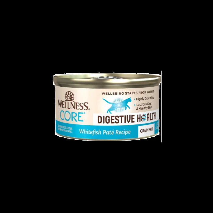 WELLNESS CORE CAT DIGEST WHFSH