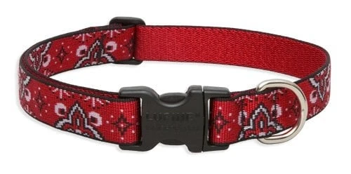1 Inch Wild West Adjustable Dog Collar 12-20 Inch For Medium And Large Dogs