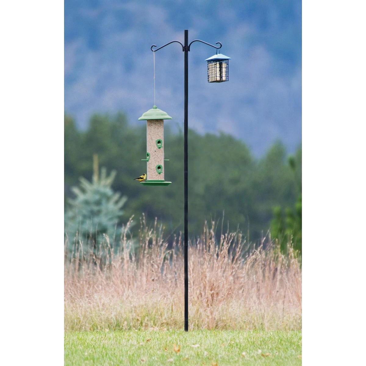 6.5 Ft. Steel Bird Feeder Pole Kit With Double Hanger