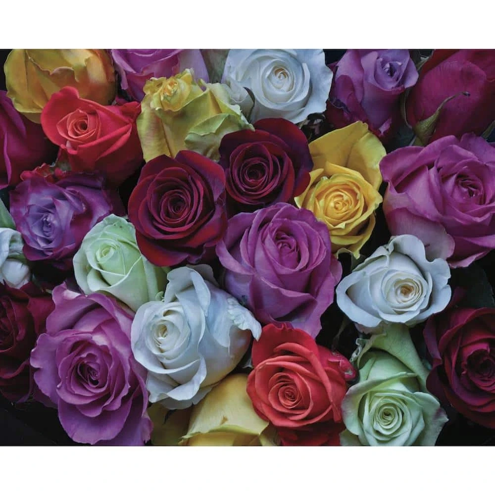 Palette Of Roses 1000 Piece Puzzle By Artist William Carr