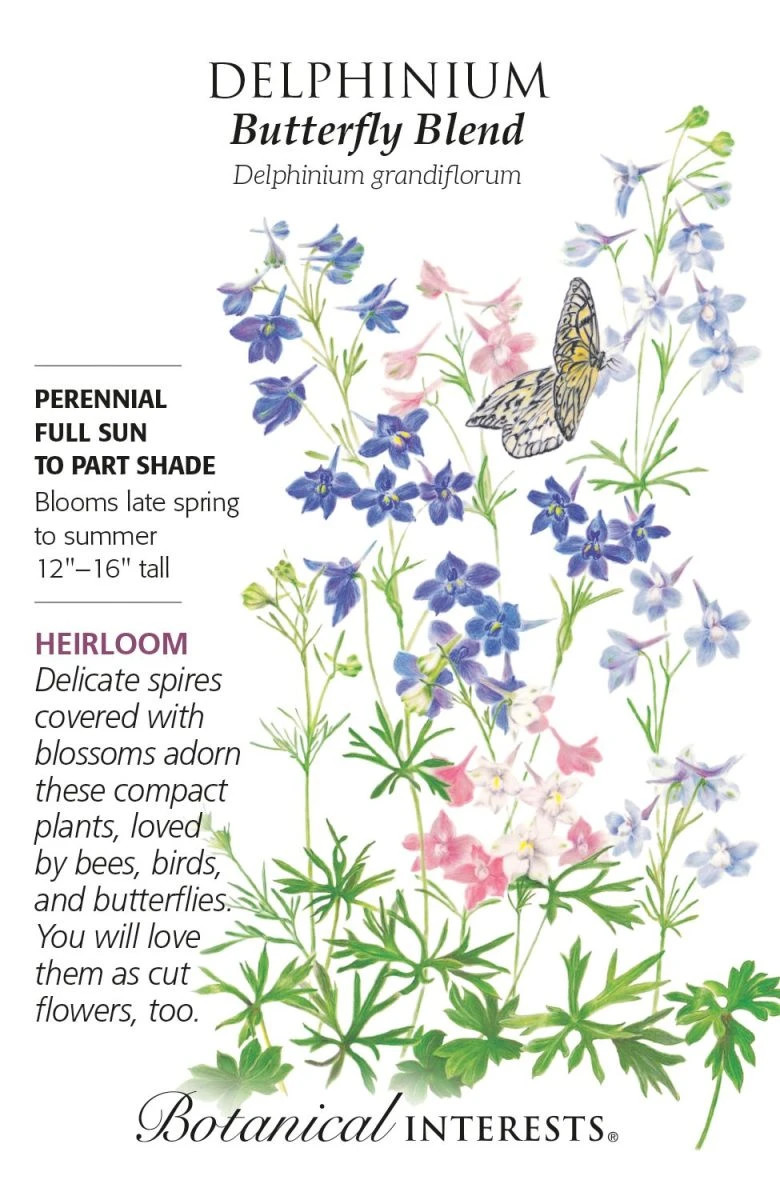Butterfly Blend Flower Seeds - Vibrant Colors For Your Garden