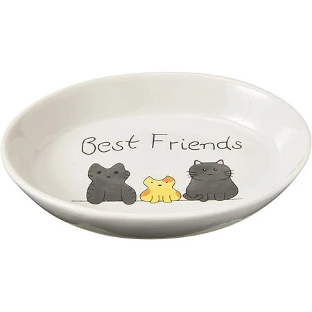 Spot By Ethical Products Heavy Ceramic High Gloss Dog And Cat Bowl 6 In Oval Shape