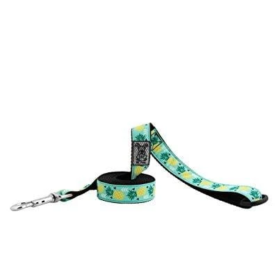Dog Leash 1/2" X 6' Pineapple Parade Design