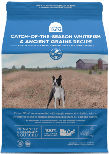 Catch-of-the-season Whitefish & Ancient Grains Dry Dog Food, 11 Pounds