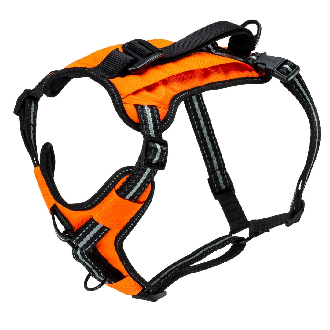 Walk-along Outdoor Harness, Medium Size, Orange Color