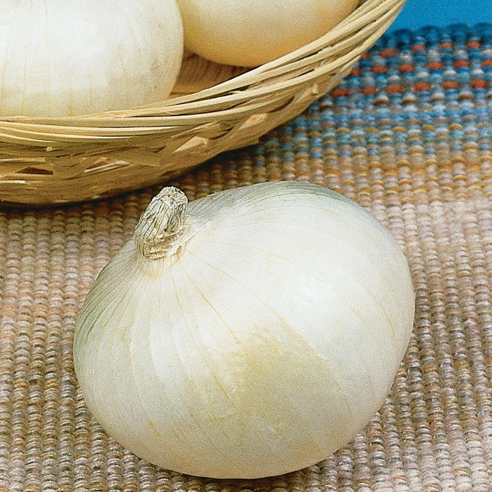 801 Onions - Texas Sweet Onions By Bonnie Plants, Model 4110