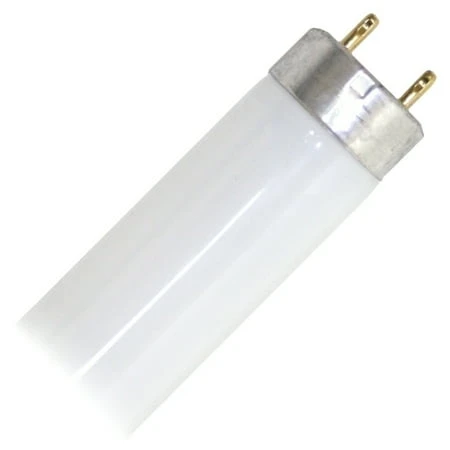 26513 F18t8/cw/24 K24 2 Foot Plus Straight T8 Fluorescent Tube Light Bulb