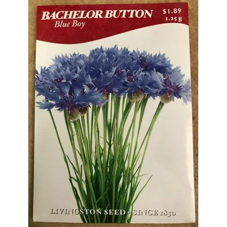 Bachelor Button Seeds - 100 Premium Seeds For Vibrant Blooms