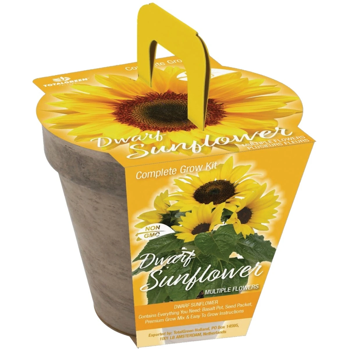 Dwarf Sunflower Grow Kit With Terra Cotta Pot And Non-gmo Seeds
