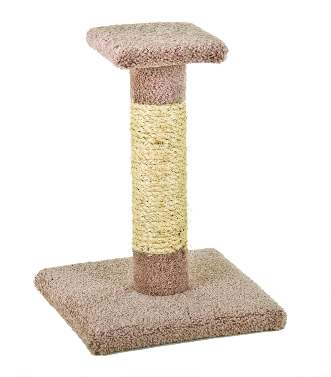 Kitty Cactus With Natural Rope And Top, 18-In.