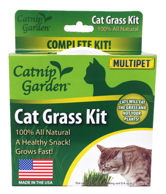 Oz Catnip Grass Kit - Indoor Planting Kit For Cats - Model 20528