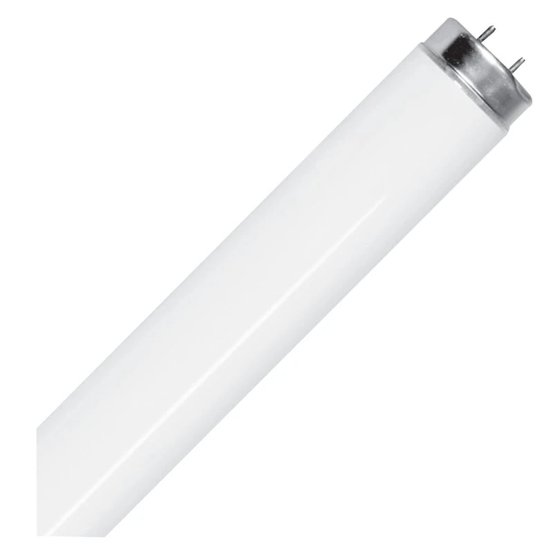 32w T8 Linear Fluorescent Light Tube - 4 Feet, 2600 Lumens, Daylight White