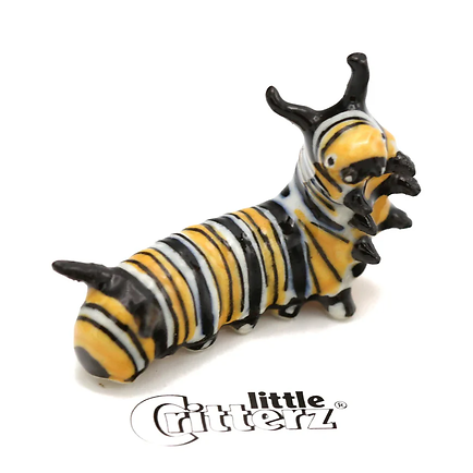 Jojo Monarch Caterpillar