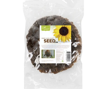 Large Dried Sunflower Seed Head