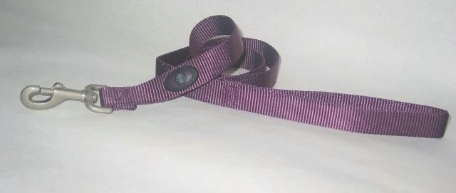 Hamilton Pet Company Single Thick Nylon Dog Leash 1 Inch X 6 Feet Plum Color