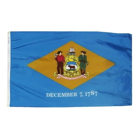 Annin Flagmakers 2 Ft. X 3 Ft. Nylon Delaware State Flag