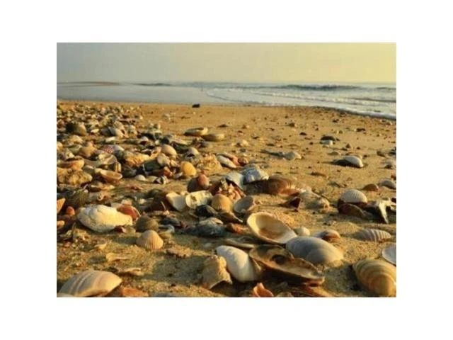 Heritage Puzzle Inc. Low Tide Jigsaw Puzzle (550-Piece)