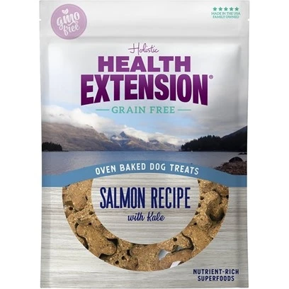 Health Extension Oven Baked Grain Free Dog Treats Salmon With Kale 6 Oz