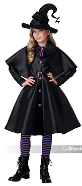Witch's Coven Costume Lg