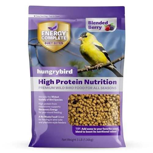 Berry Hungrybird Suet Bites