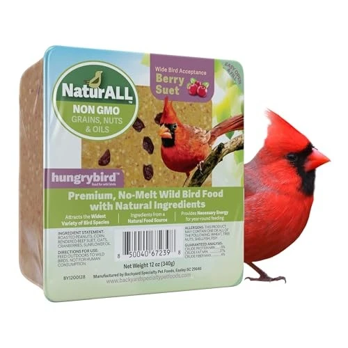 NaturAll Berry Suet Hungrybird