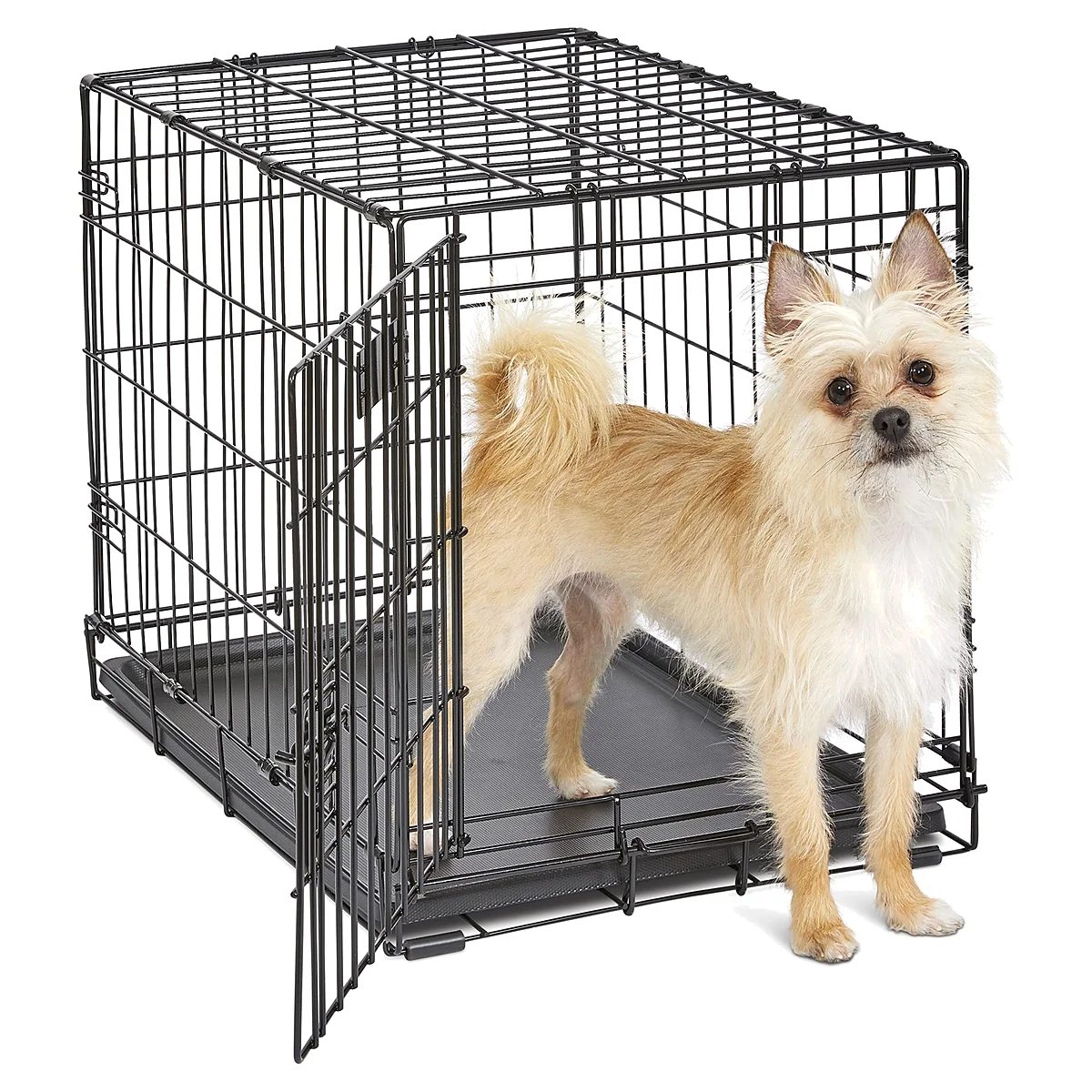 Dog Training Crate, Black, 24 L x 18 W x 19 H