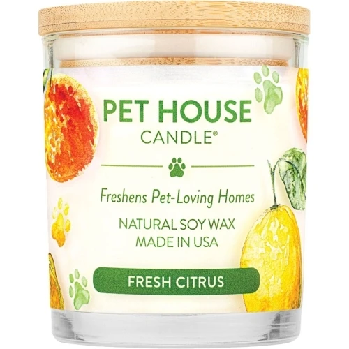 248943 8.5 oz Fresh Citrus Candle