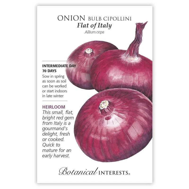 Onion Blb Rd Flat of Italy (ID)