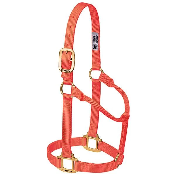 HALTER LRG ORANGE