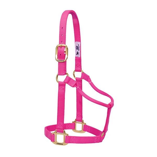 WEAVER LEATHER ORIGINAL NON-ADJUSTABLE HALTER, 1", DIVA PINK, LARGE