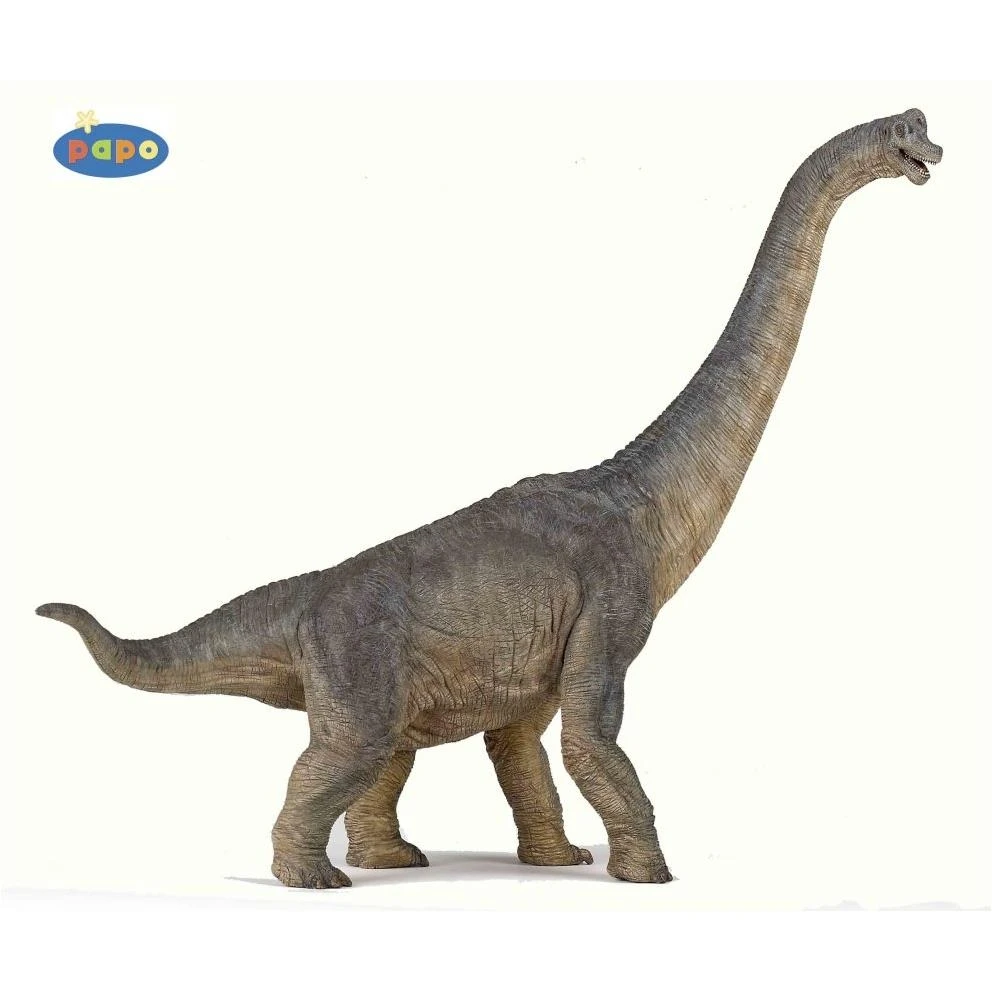 Brachiosaurus Toy Figurine - Model 55030 - Realistic Dinosaur Figure