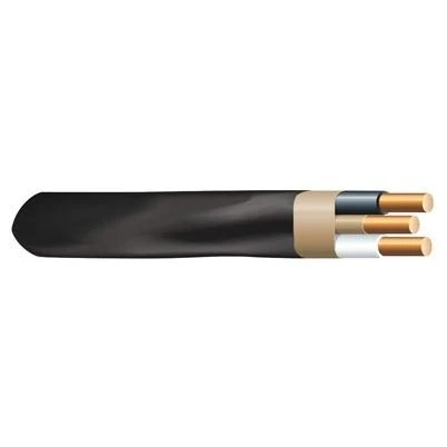 Charlotte Pipe 1/2 In. Slip Solvent Weld CPVC Cap
