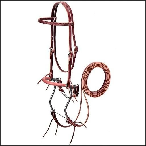 BRIDLE HACKAMORE W/REINS
