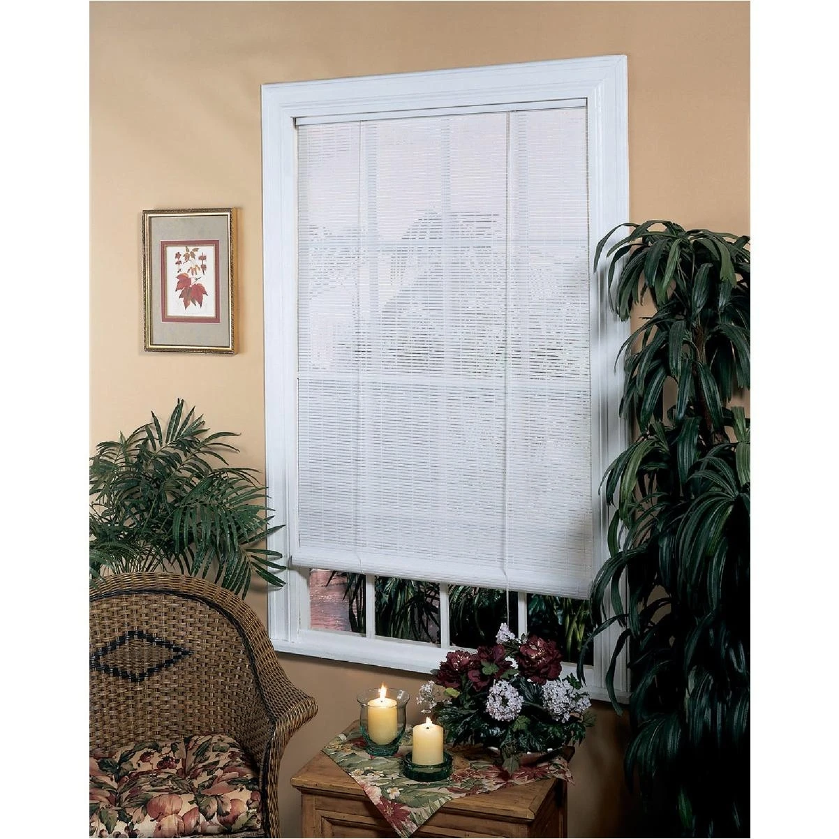 30 In. x 72 In. White Vinyl Roll-Up Window Blinds