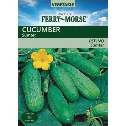 Cucumber Sumter Seed