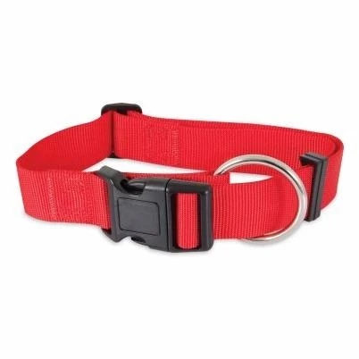 Nylon Dog Collar, Red, 1 x 20-In.