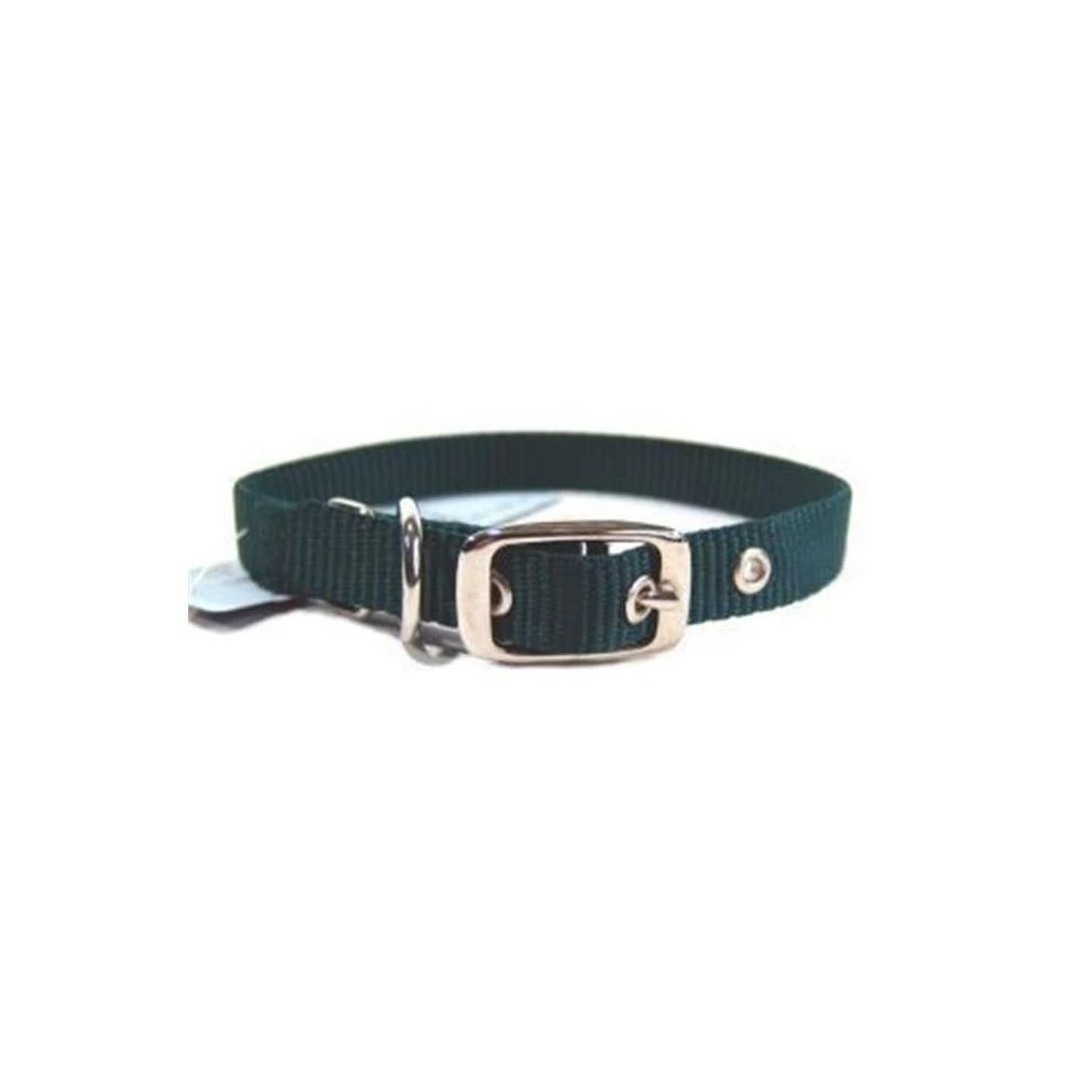 Hamilton Pet Company Single Thick Nylon Dog Collar, Hunter Green, 5/8 X 16 Inch